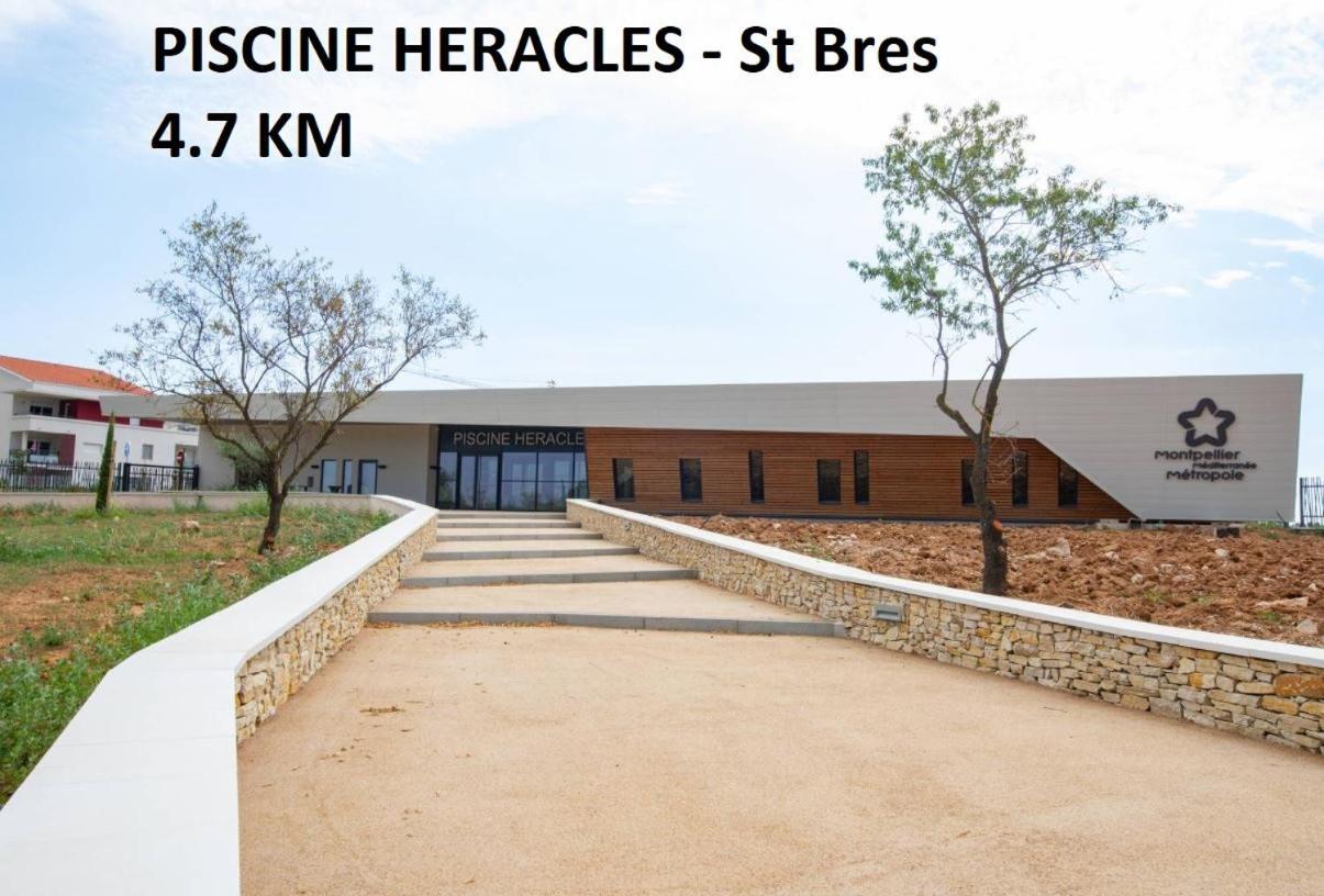 Valergues Secret Garden - Chez Gilles Et Tra - Maison D Hote -T2 Super Mignon, Neuf Et Independant , Dans Cadre Agreable Et Zen מראה חיצוני תמונה